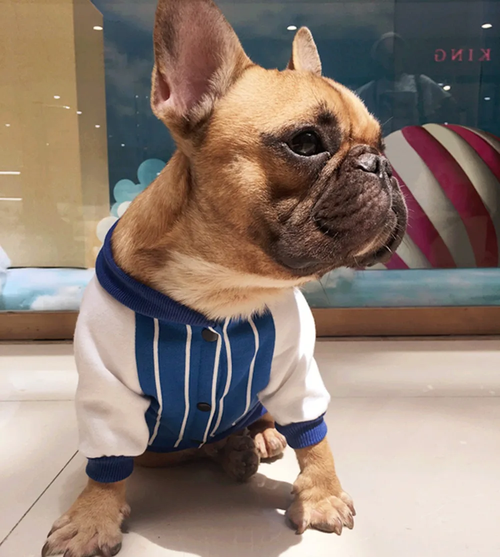 Y5_Fashion_Striped_Bulldog_Hoodies_Coat_Baseball_Style_Autumn_Pet_Dog_Clothes_For_Bulldog_Two_legs_Clothing_Apparel_ (4)