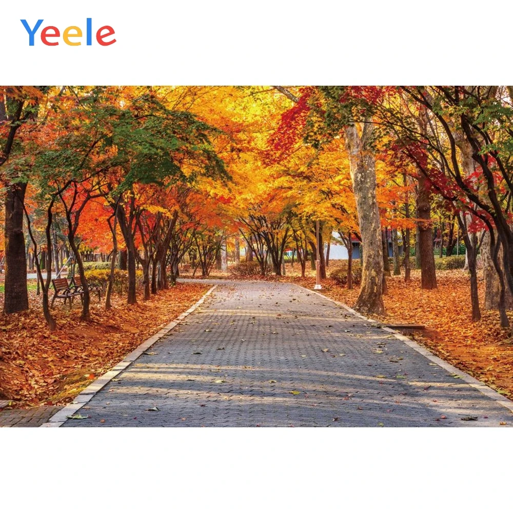 

Yeele Autumn Forest Maple Leaf Brick Road Scene Photography Children Background Photographic Child Backdrop For Photo Studio