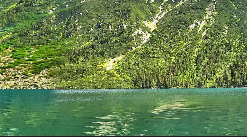 36020180223100034196