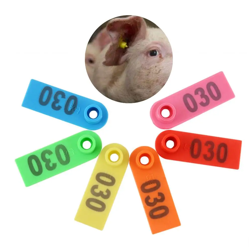 

100Pcs Universal Laser Inscription Livestock Goat Sheep Pig Ear Tags Labels Mark Cute