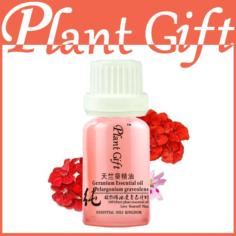 

100% Pure Plant Essential Oils French Imports Geranium Oil 10ml Hemostasis Antibacterial Antiphlogistic SET
