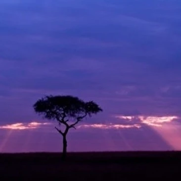 Blue skies  Maasai Mara  Kenya Poster Print by Joe Restuccia III (38 x 25)