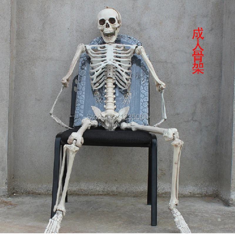 165cm-Terror-Halloween-props-haunted-house-Room-Escape-artificial-human-skeletons-model-frame-tomb-raiding-Adult (2).jpg