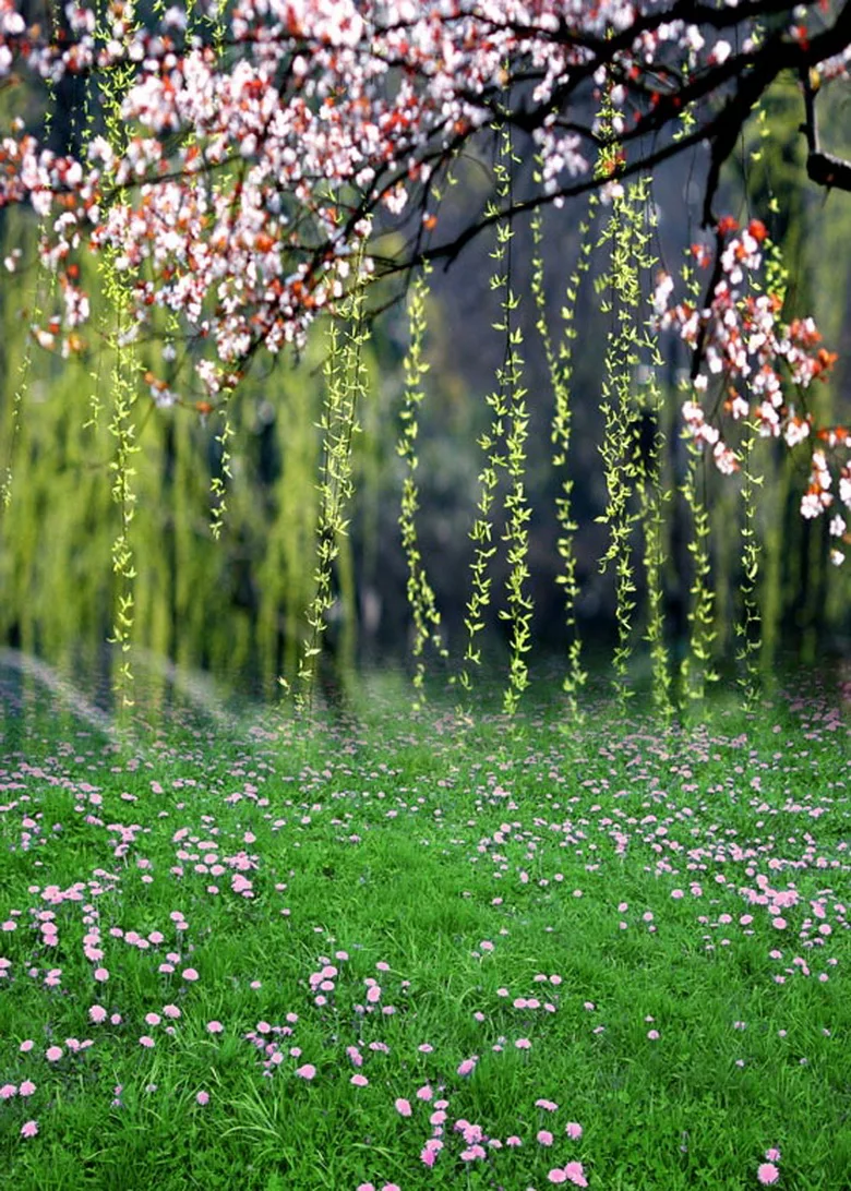 Природный пейзаж willow twig виниловый цифровой тканевый фотографический фон для