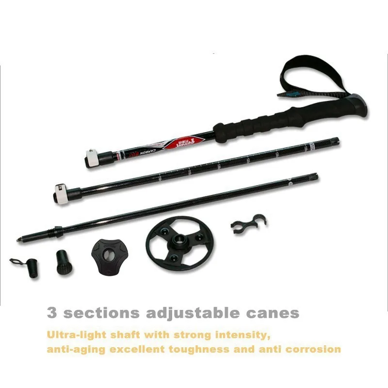 TP1011 06 nordic walking stick