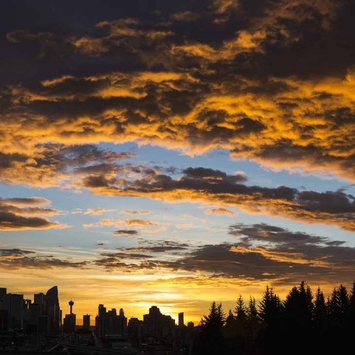 Dramatic colorful clouds at sunrise with cityscape and tree silhouette; Calgary  Alberta  Canada Poster Print (18 x 13)