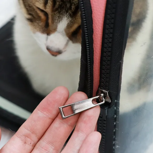 Portable Transparent Travel Pet Bag Outdoor Puppy Dog Cat Carrier Bags Foldable EVA Material Soft Zipper Opening Shoulder Packag 3