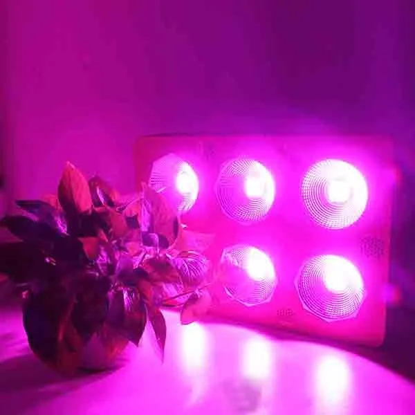 1152w cob led grow light (8)