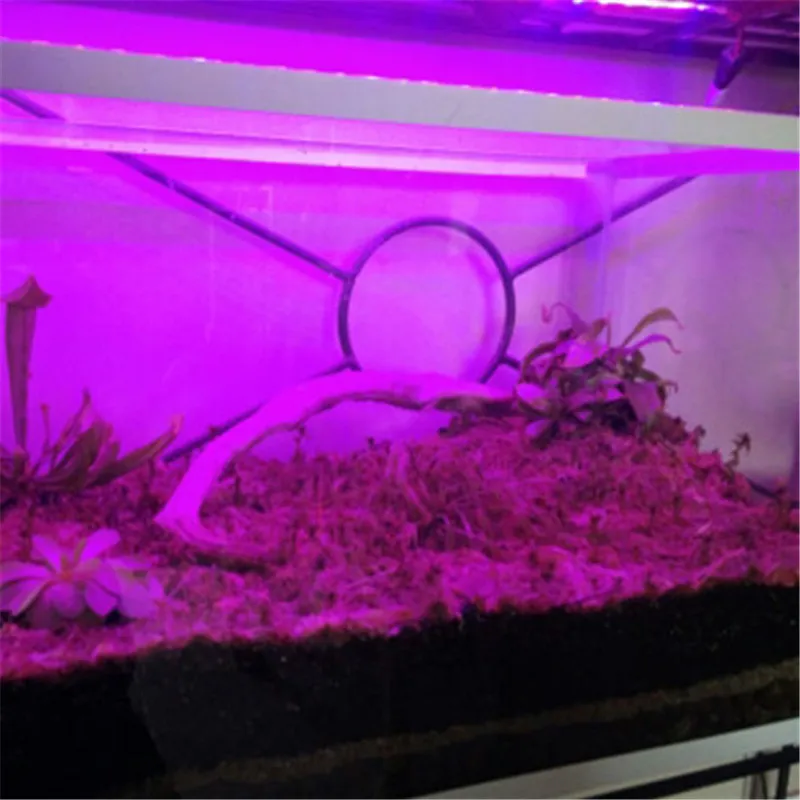 DC 12V LED Grow light Full Spectrum 5M LED Strip light 5050 Phyto Plant Growth lamps For Greenhouse Hydroponic Plant Growing led grow light grow light