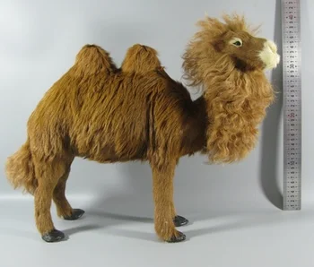 

Simulation animal model camel arts and crafts shooting props, home furnishings, lawn, desert ornaments, gifts