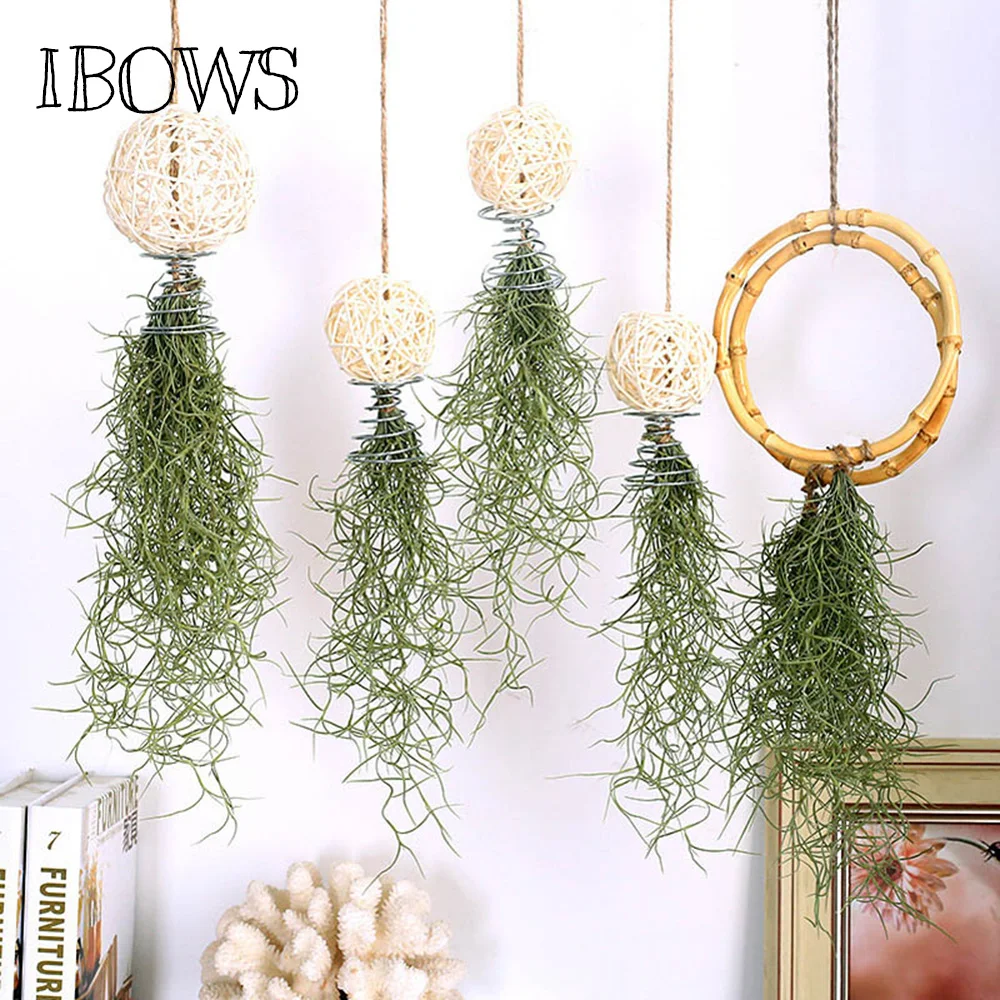 Buy Natural Hanging Air Plant Lazy Soilless Plant