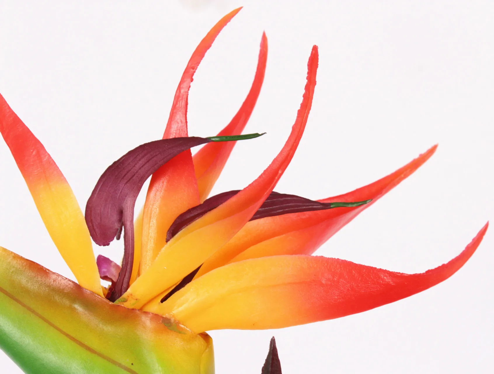 77 см большой полиуретан с эффектом реального прикосновения небесная птица искусственный Флорес искусственный цветок для свадьбы украшения для дома вечерние номера отеля