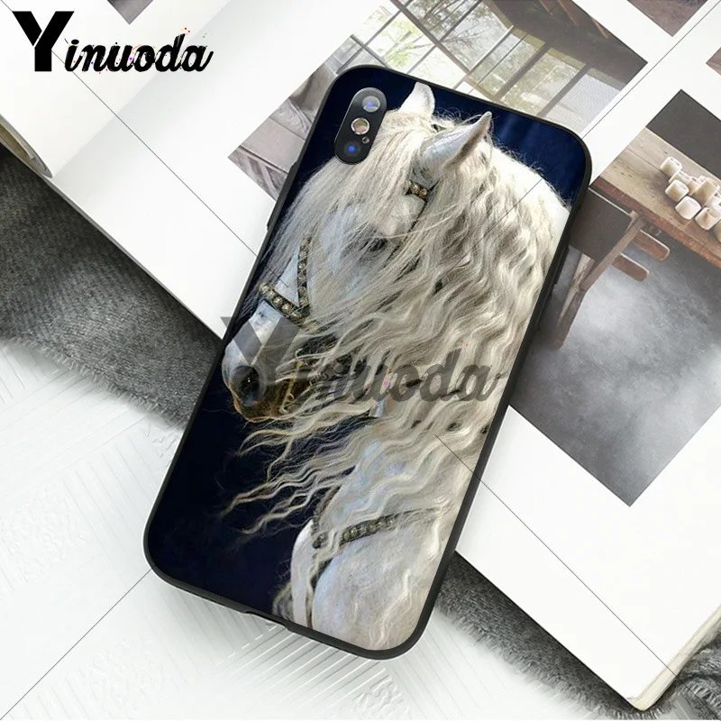 andalusian horse