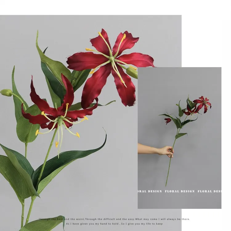 20190221_220608_005