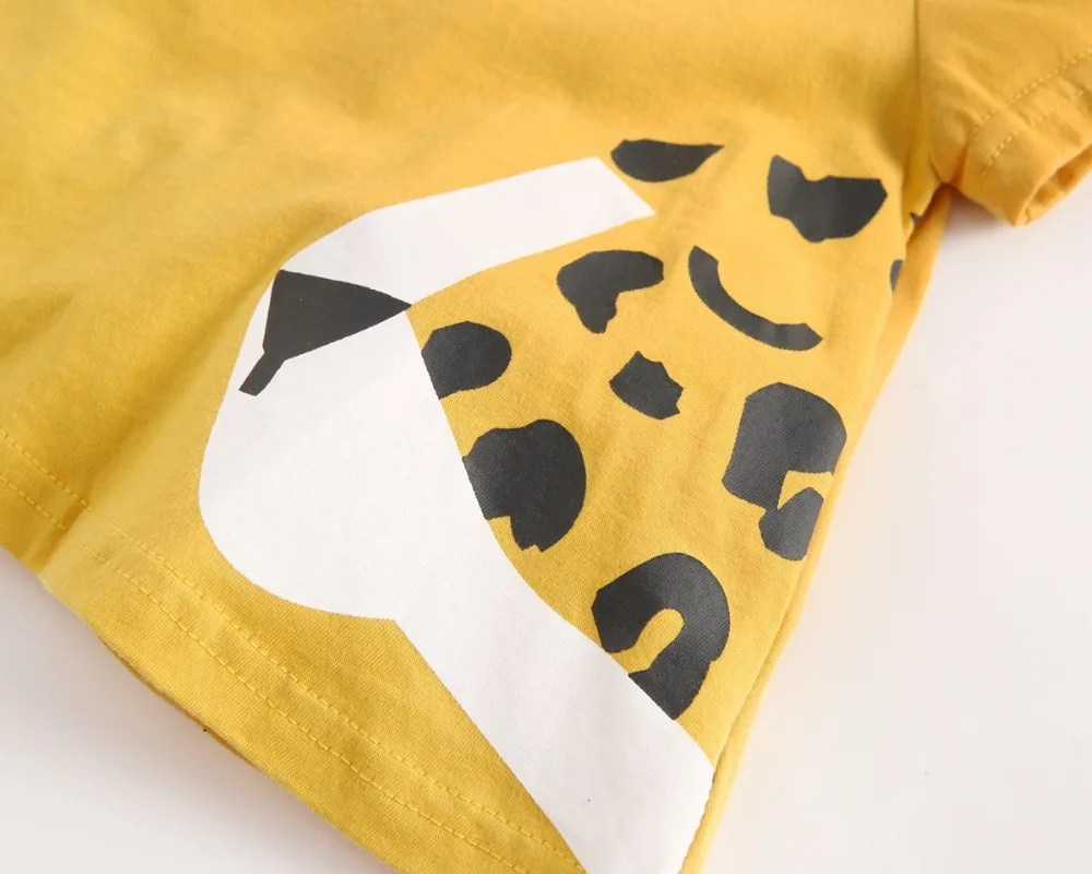 11226622636_1727784565