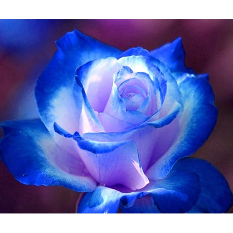 YIKEE Blue Flower Diamond Painting Home Decor Drill Resin DIY Mosaic Flowers Diamond Embroidery