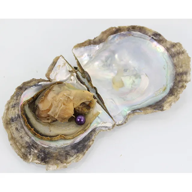 Akoya Shell saltwater Oyster Wish round Pearls 28colors 7 8MM One Pearl