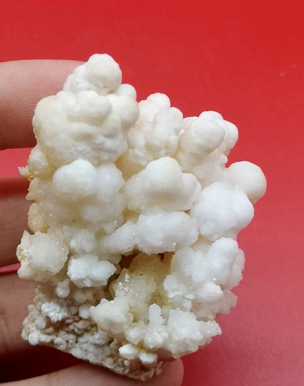 

65g Natural rare stalactite mineral teaching specimens from China