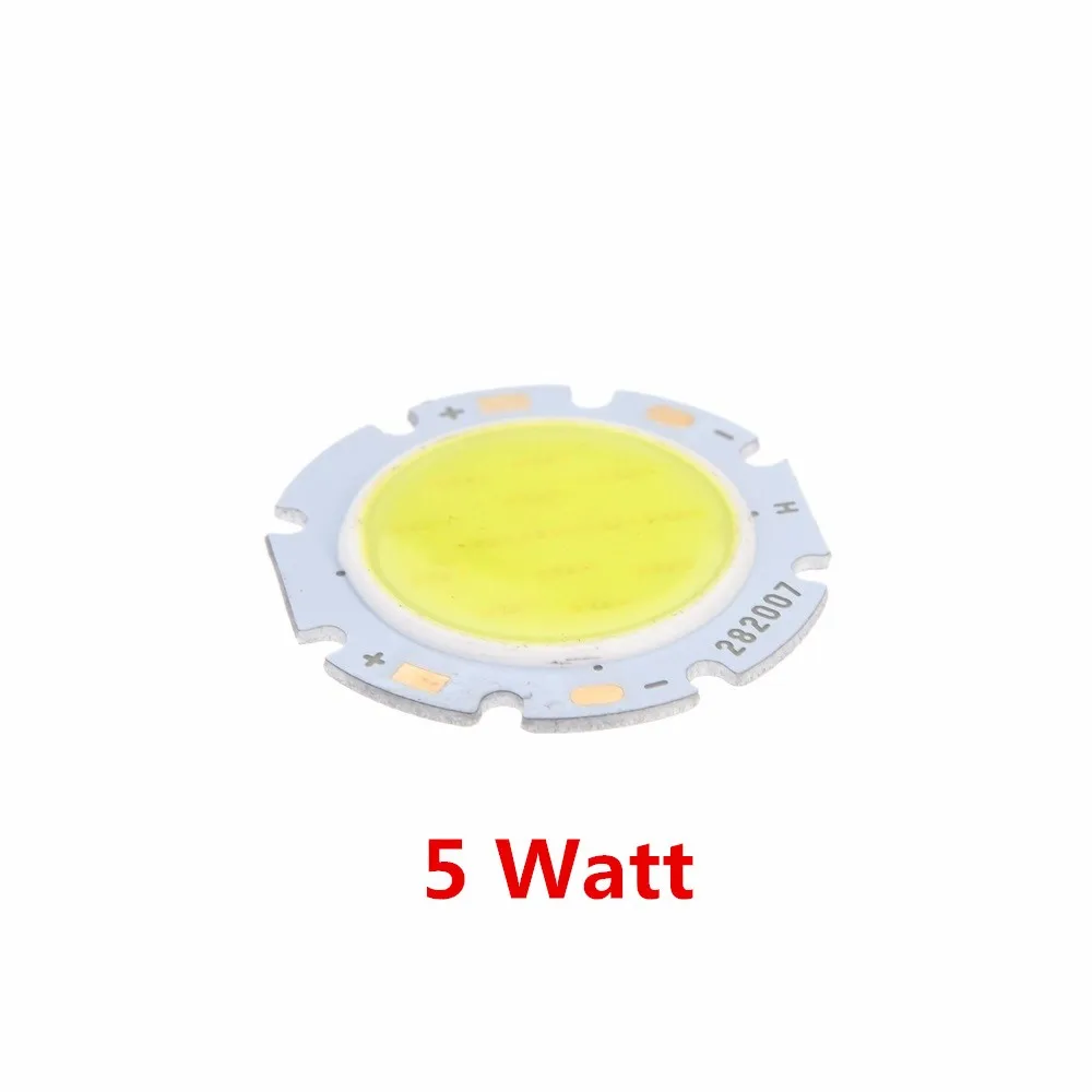 20161102_122511_007 (2)