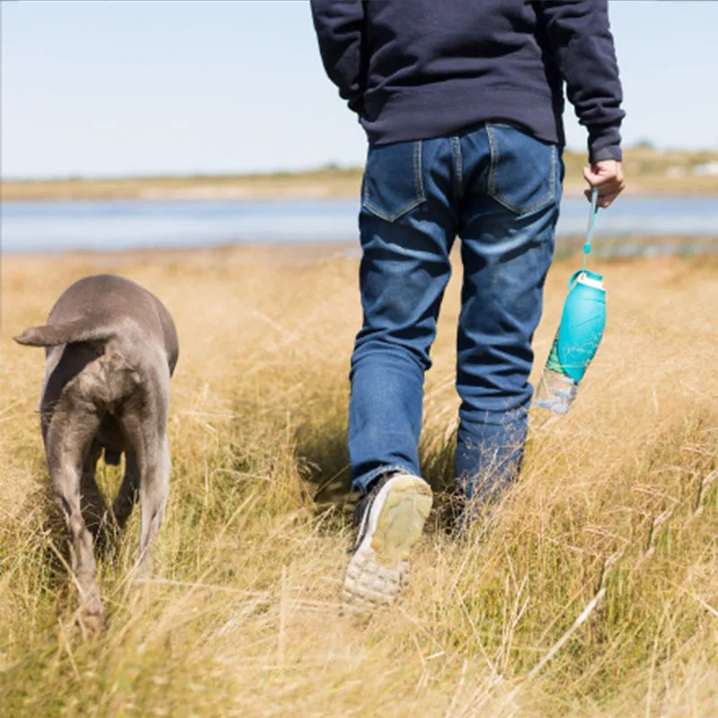 New Portable Pet Water Feeder Collapsible Car Carry Pet Bowl Water Feeding Kettle Dog Cat Outdoor Travel water bottle Container16