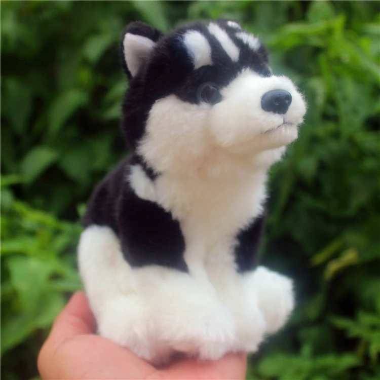 16 cm Peluche Husky simulación Peluche perro Peluche muñecas animales niños pequeños juguetes de regalo para niños, regalo personalizado Navidad