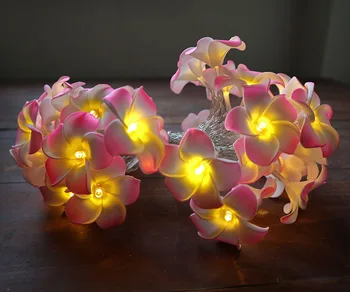 

3M 20LED String Starry Lights USB Powered Hawaiian Foam Artificial Plumeria Flower Fairy for Wedding Garland Party Home Decor