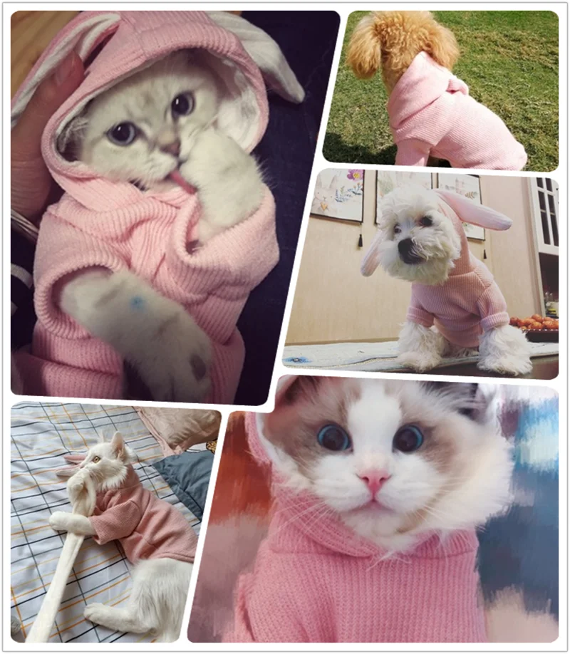 chihuahua dog jacket (1)