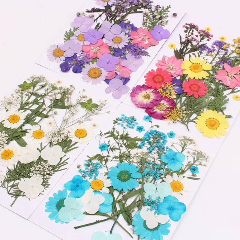 

Mixed Organic Natural Pressed Dried Flowers DIY Art Floral Phone Case Decors Collection Scrapbooking Crafts Gift 5 Styles