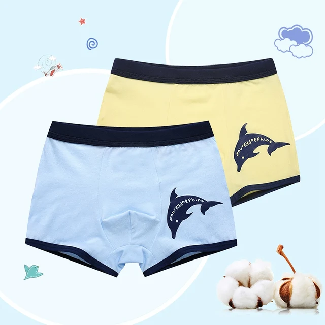 2 Pcs/lot Soft Organic Cotton Children's Teenager Underwear Colorful