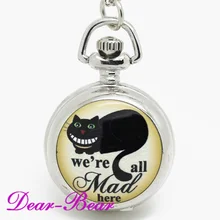 6004) Алиса в стране чудес мы все злимся здесь Чеширская Эмаль Кошка кварцевые карманные часы ожерелье, 12 шт./лот