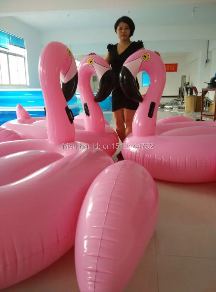 i and flamingos