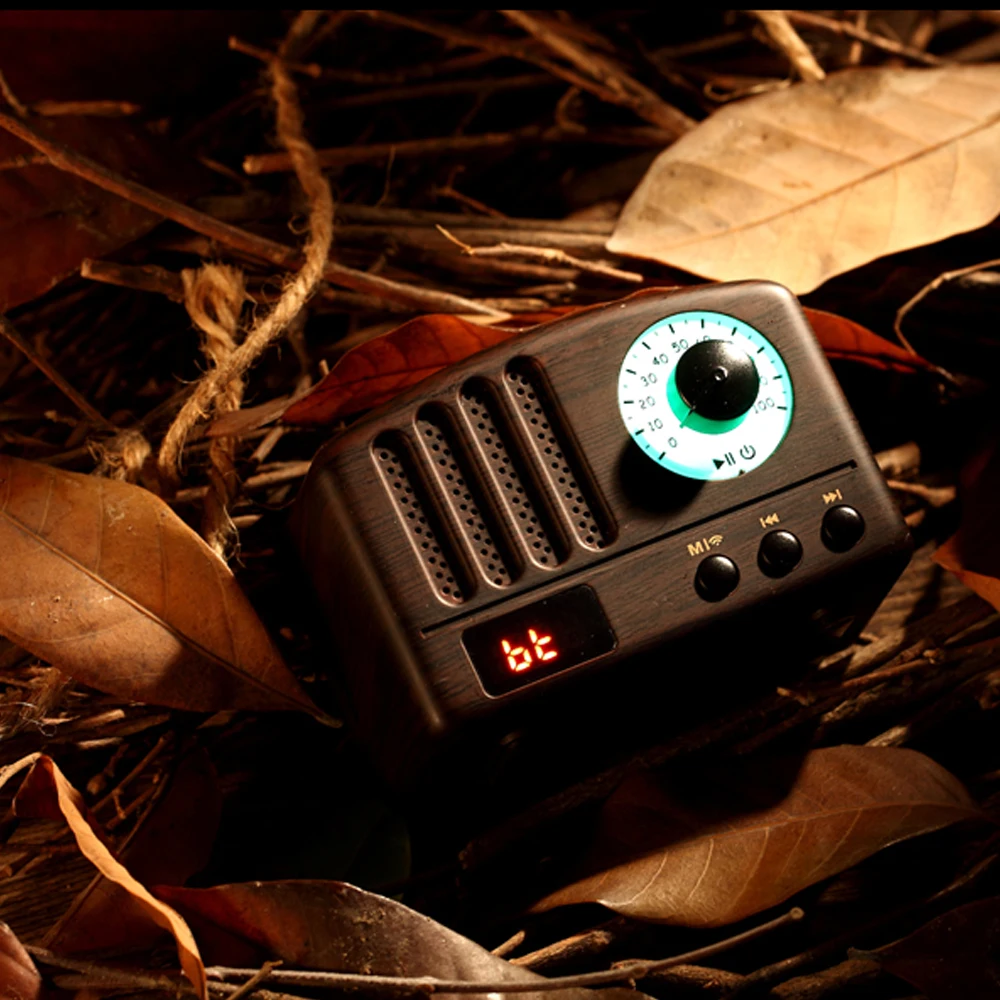 M3 Vintage speaker (16)