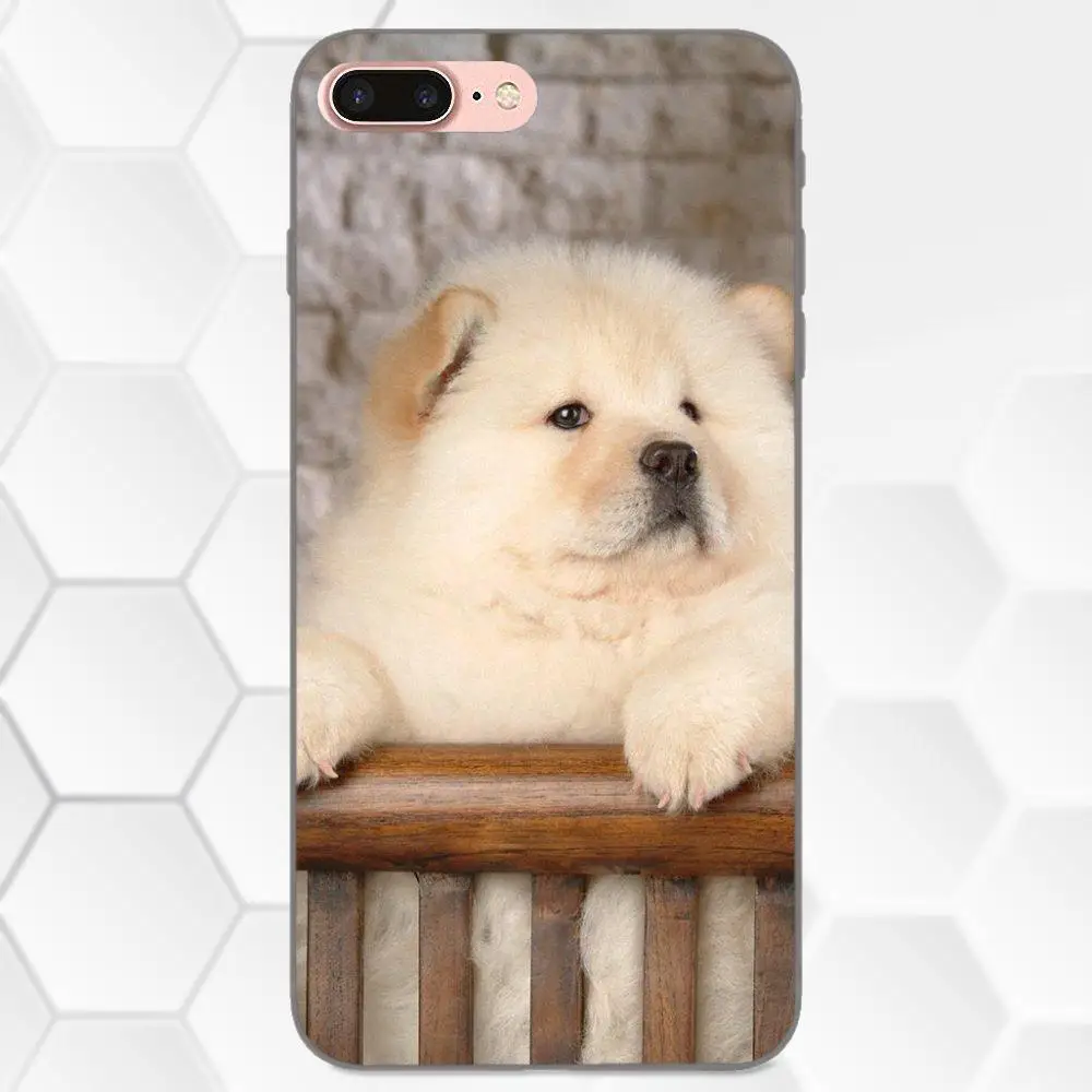 Мягкие Защитные чехлы для телефонов с изображением щенков Chow Apple iPhone X XS Max XR 4