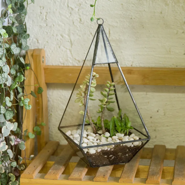 Triangle Pyramid Geometric Glass Terrarium Box Succulent Fern Moss Planter Hanging Plant Pots