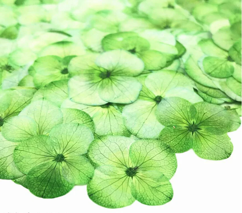 (HSWL)-green