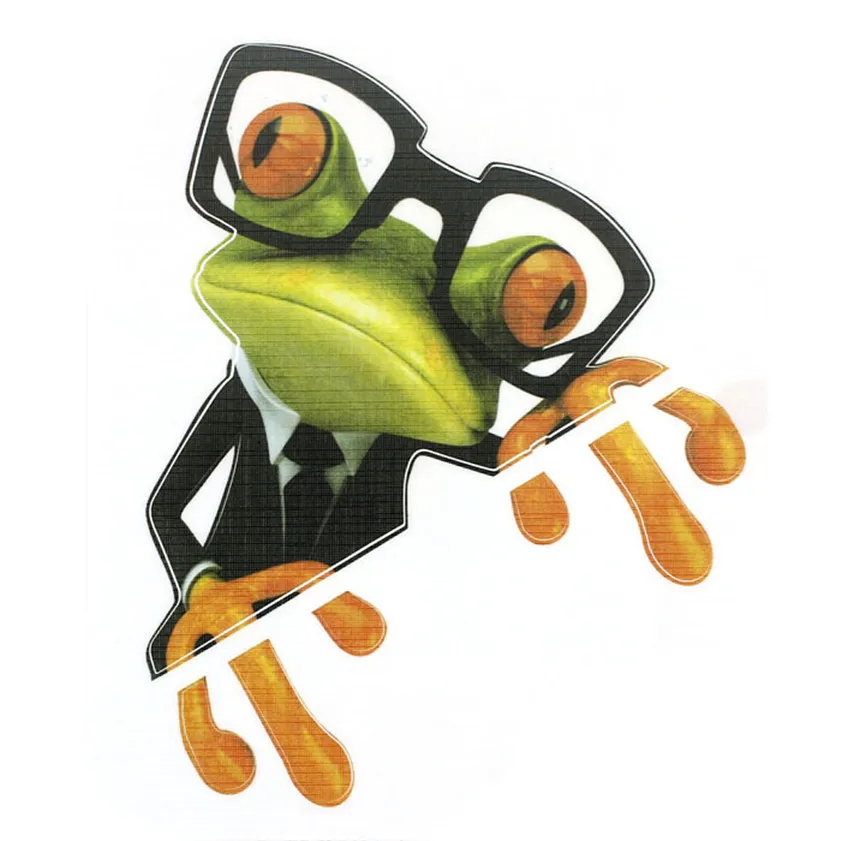 High Quality font b 3D b font font b Glasses b font Frog Funny Car Stickers