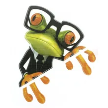 High Quality 3D Glasses Frog Funny Car Stickers Truck Window Decal Graphics Sticker
