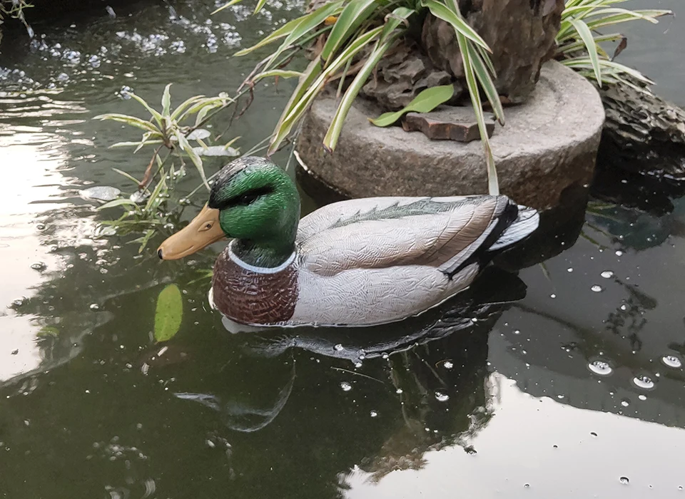 Утка приманка утка охотничья приманка 3D охотничья игра Кряква водоплавающая подставка часовая селезень 14in