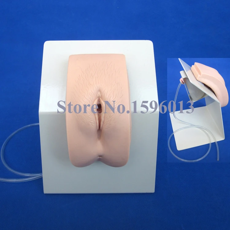 

HOT Female Catheterization Training Simulator, Urethral Catheterization Model, Nursing model