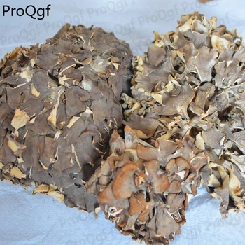 

Ngryise 100gram a set Polyporus frondosus
