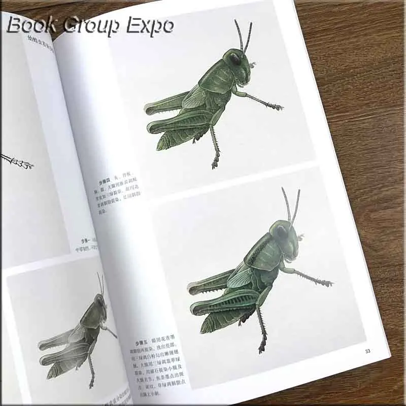 Китайский goingbi книга Рисование травы и насекомых живопись клубника-узнать, как раскрашивать