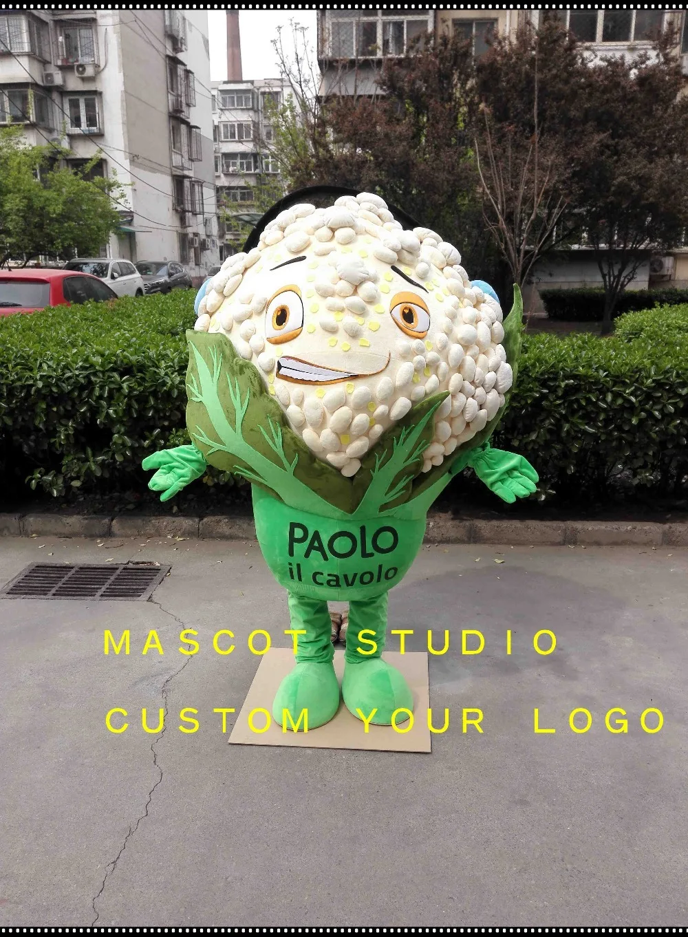 Chou Fleur Mascotte Costume Bleu Poissons Personnalise Fantaisie