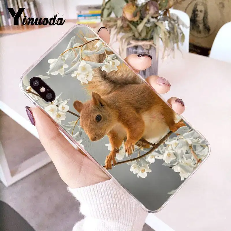 Yinuoda для iPhone 7 Чехол мобильного телефона с изображением белки пить воду зеленая