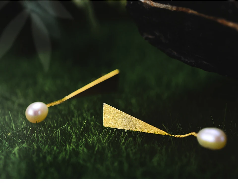 LFJB0055-Special-Triangle-Drop-Earrings_05