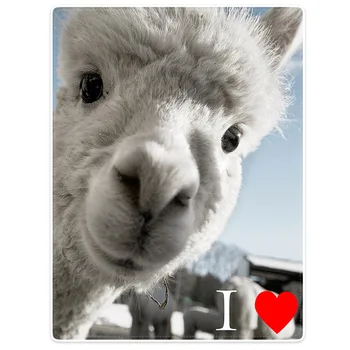 

Blanket Comfort Warmth Soft Cozy Air conditioning Easy Care Machine Wash I Love Llama