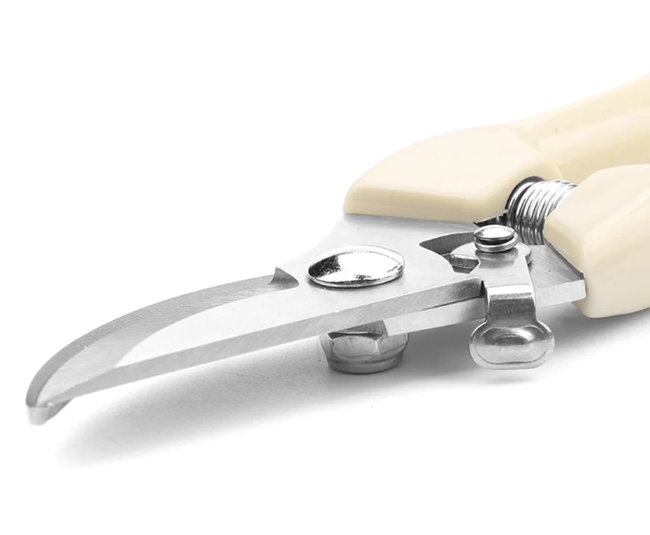 Garden pruner 4