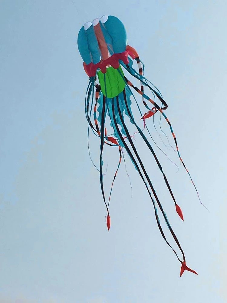Ripstop windsock большой воздушный змей Летающий Медуза мягкий воздушный змей ripstop нейлон с ручкой большая наружная игрушечная линия кайт серфинг осьминог