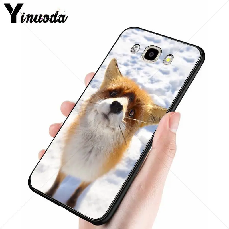 catoon cute lovely fox animal