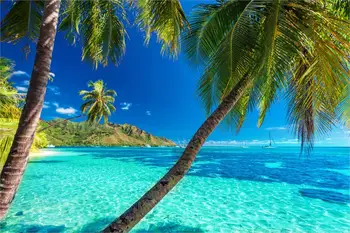 

Home decoration the sun tropical summer sea beach palms shore island paradise trees Silk Fabric Poster Print MM540