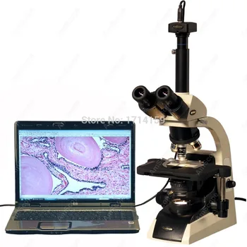 

Veterinary-AmScope Supplies 40X-2500X Infinity Plan Trinocular Biological Microscope with 5MP Digital Camera